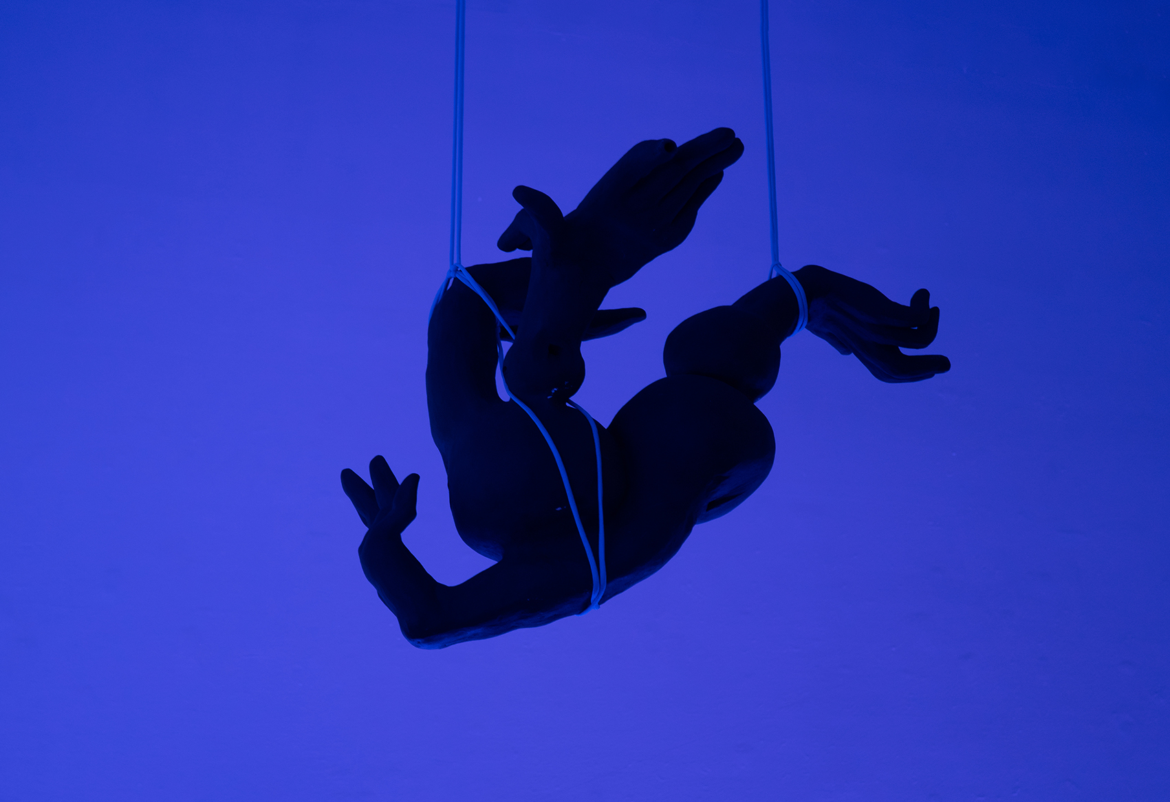 Constanza Alarcón Tennen