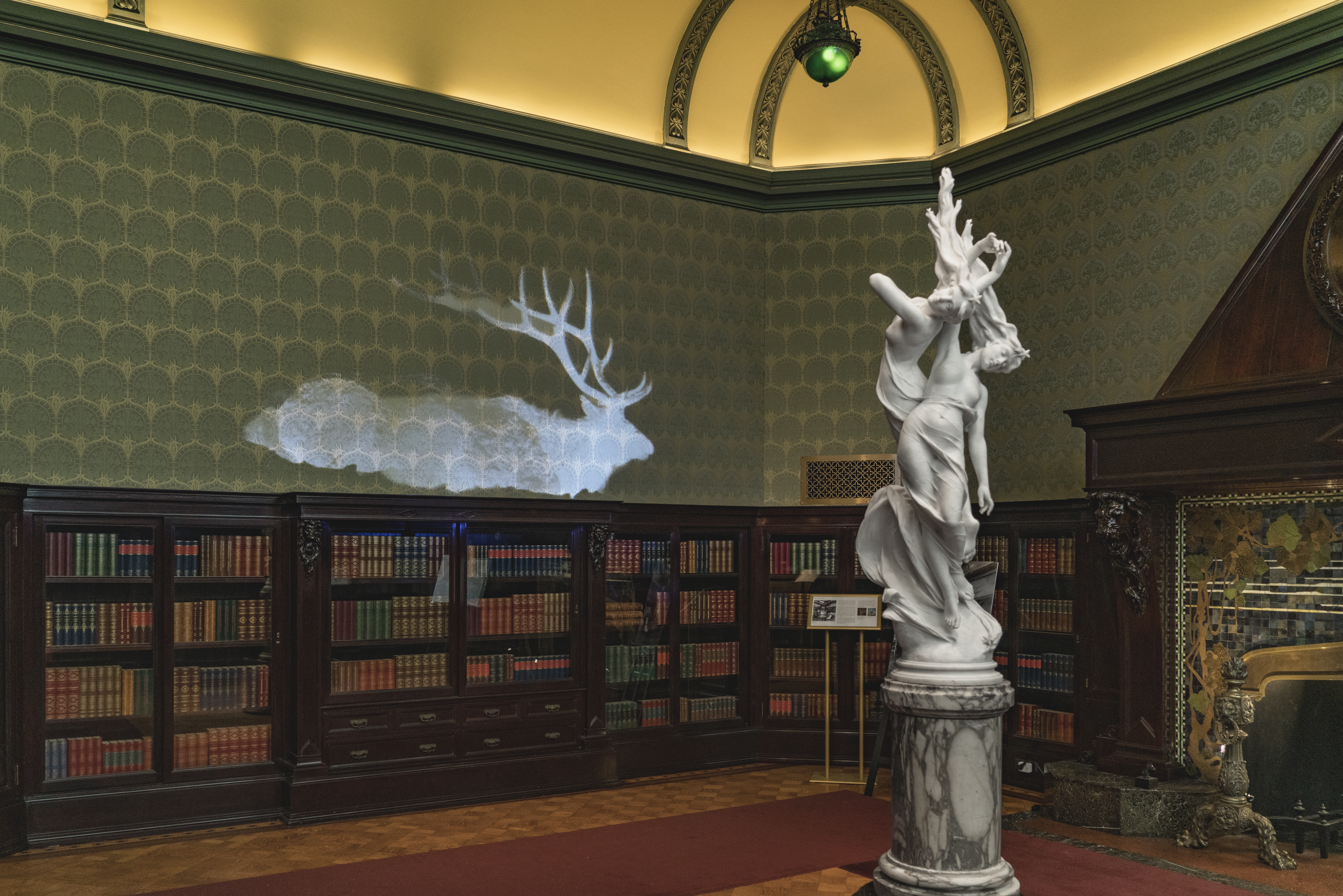 Projection of a ghostly moose on a bare wall of patterned wallpaper in the Nickerson Mansion Maher Gallery. Parallel to the projection, in the center of the room, is a pastoral sculpture. Under the projection, against the wall, is a dark wooden library shelving with glass cabinets, filled with thick colorful books. The library extends through the majority of the photograph. On the right side, next to the bookshelf is half of a fire place with iridescent stained-glass tile, framed by dark wood that covers some of the wallpaper. In front of the fireplace and bookshelf are terracotta runner rugs, framing the sculptural centerpiece.