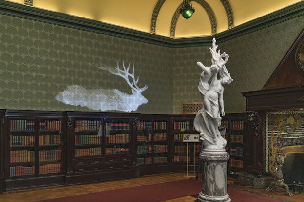 Projection of a ghostly moose on a bare wall of patterned wallpaper in the Nickerson Mansion Maher Gallery. Parallel to the projection, in the center of the room, is a pastoral sculpture. Under the projection, against the wall, is a dark wooden library shelving with glass cabinets, filled with thick colorful books. The library extends through the majority of the photograph. On the right side, next to the bookshelf is half of a fire place with iridescent stained-glass tile, framed by dark wood that covers some of the wallpaper. In front of the fireplace and bookshelf are terracotta runner rugs, framing the sculptural centerpiece.