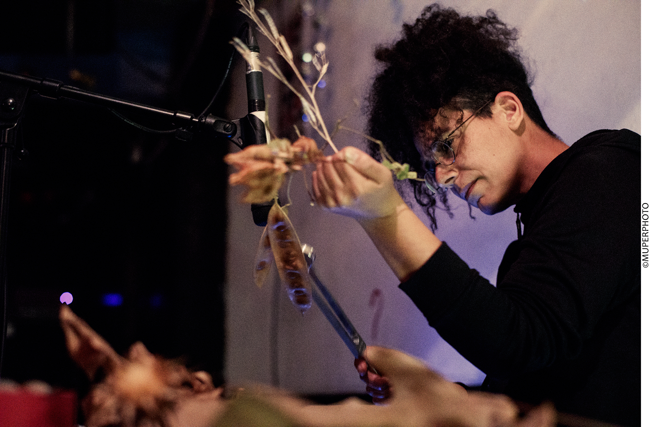 Maayan Tsadka mid-performance. She is wearing a black sweater, glasses, and her  hair pulled up. In one hand, Tsadka is holding a couple of dried plants close to a  microphone on a mic stand. The mic is pointing downwards and is very close to one of  the dried plants. In the other hand, she is holding a tuning fork close. Tsadka is looking  intensely at the close mic’d plant and in the foreground of the photo blurred leaves are  visible. The background, also blurry, is softly lit by a purple light.