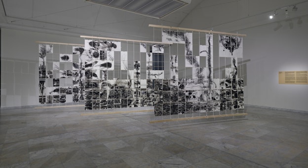 Installation view of 