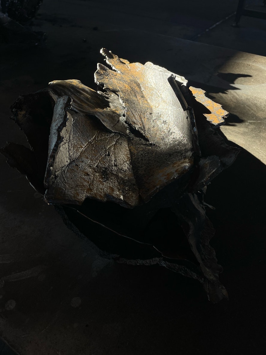 Jarrod Beck