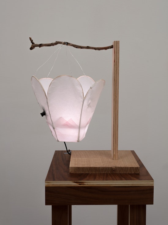 Cici Wu, Foreign Object #2 Umbra and Penumbra (+95 prototype), 2021