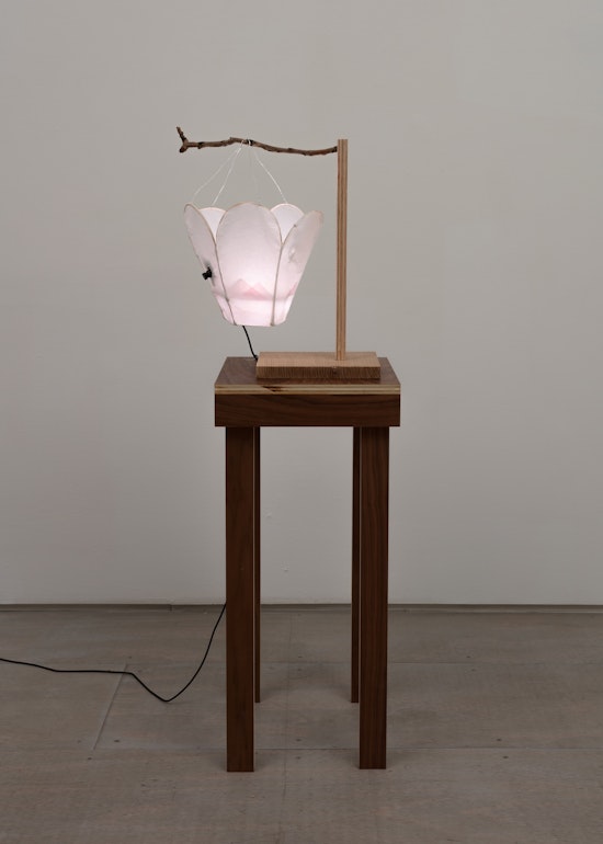 Cici Wu, Foreign Object #2 Umbra and Penumbra (+95 prototype), 2021