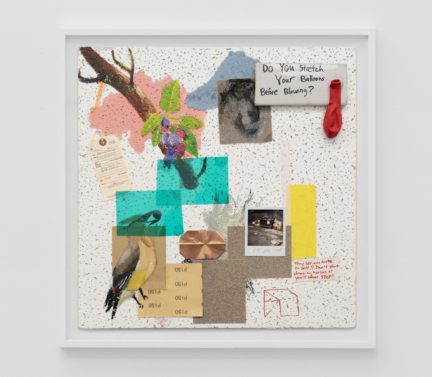 Char Jeré, Serviceberry and Waxwing, 2026