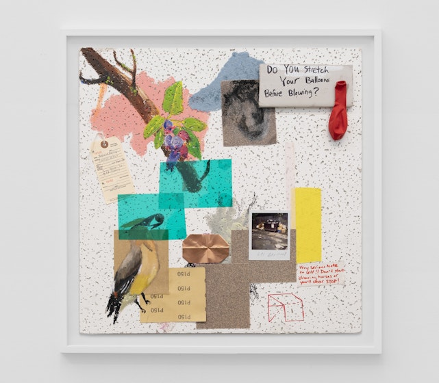 Serviceberry and Waxwing, Char Jeré, 2026