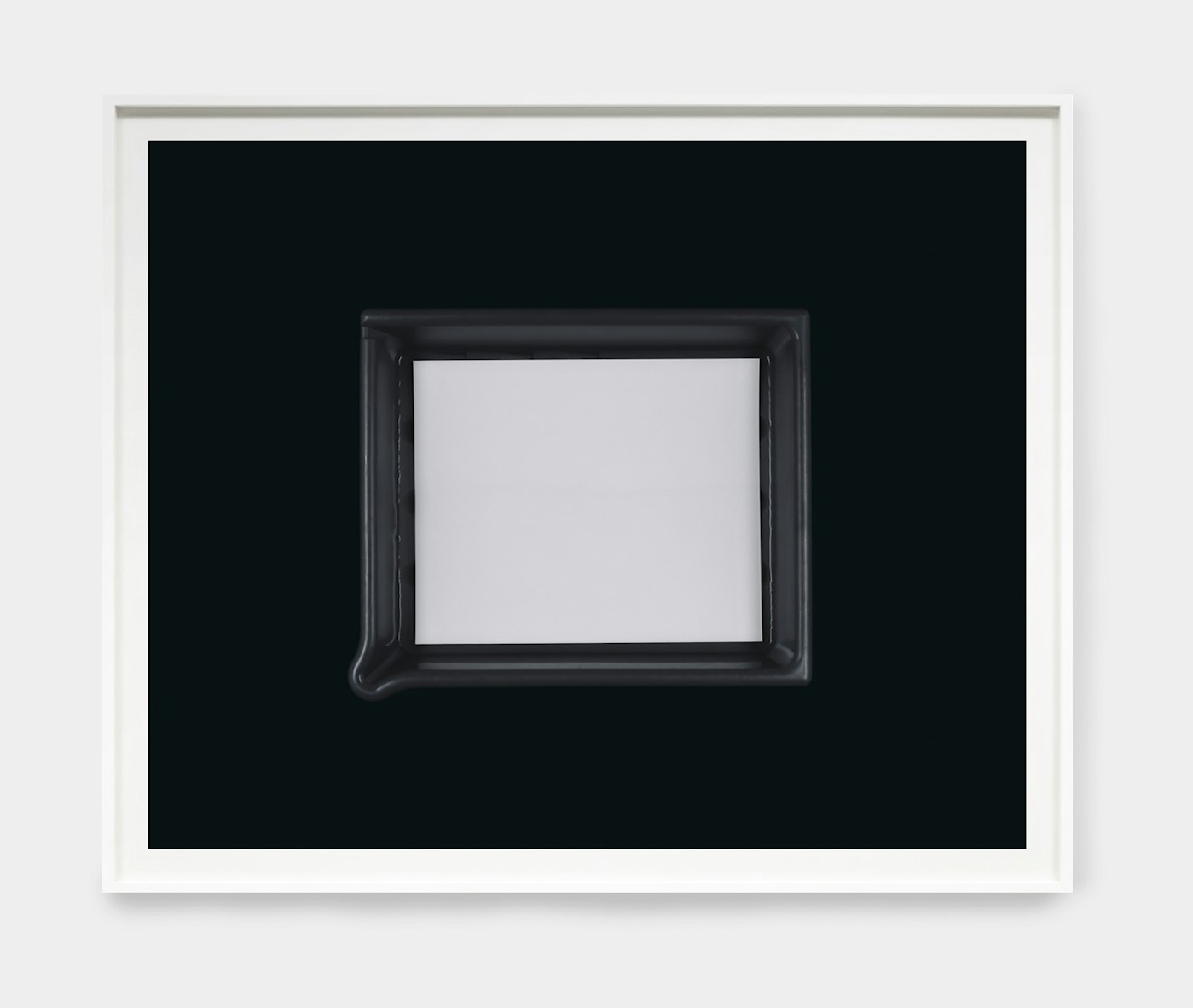 Anne Collier, Developing, 2024