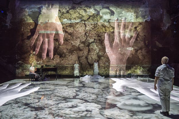 A figure with their back to the viewer faces two performers that stand apart from each other with their back to the wall and their limps straight down, to their left another performer sits on a pianoforte. On the wall and floor are projected mirror images of two hands opposite and parallel to one another reaching a coral-like surface. The projection on the wall has red and yellow hues, while the one on the floor gray.