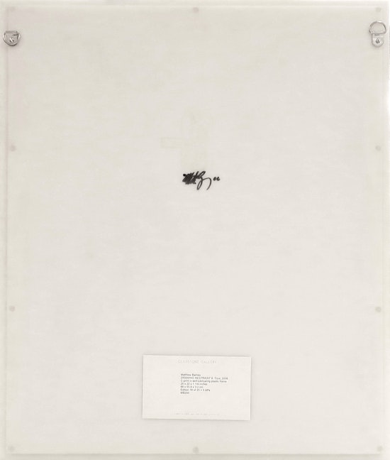 Matthew Barney, Drawing Restraint 9: Toya, 2006