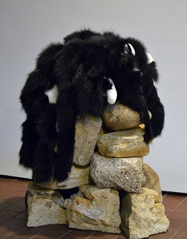 Black furry material resembling a stuffed animal or animal fur draped over a pile of tan sedimentary rocks. 