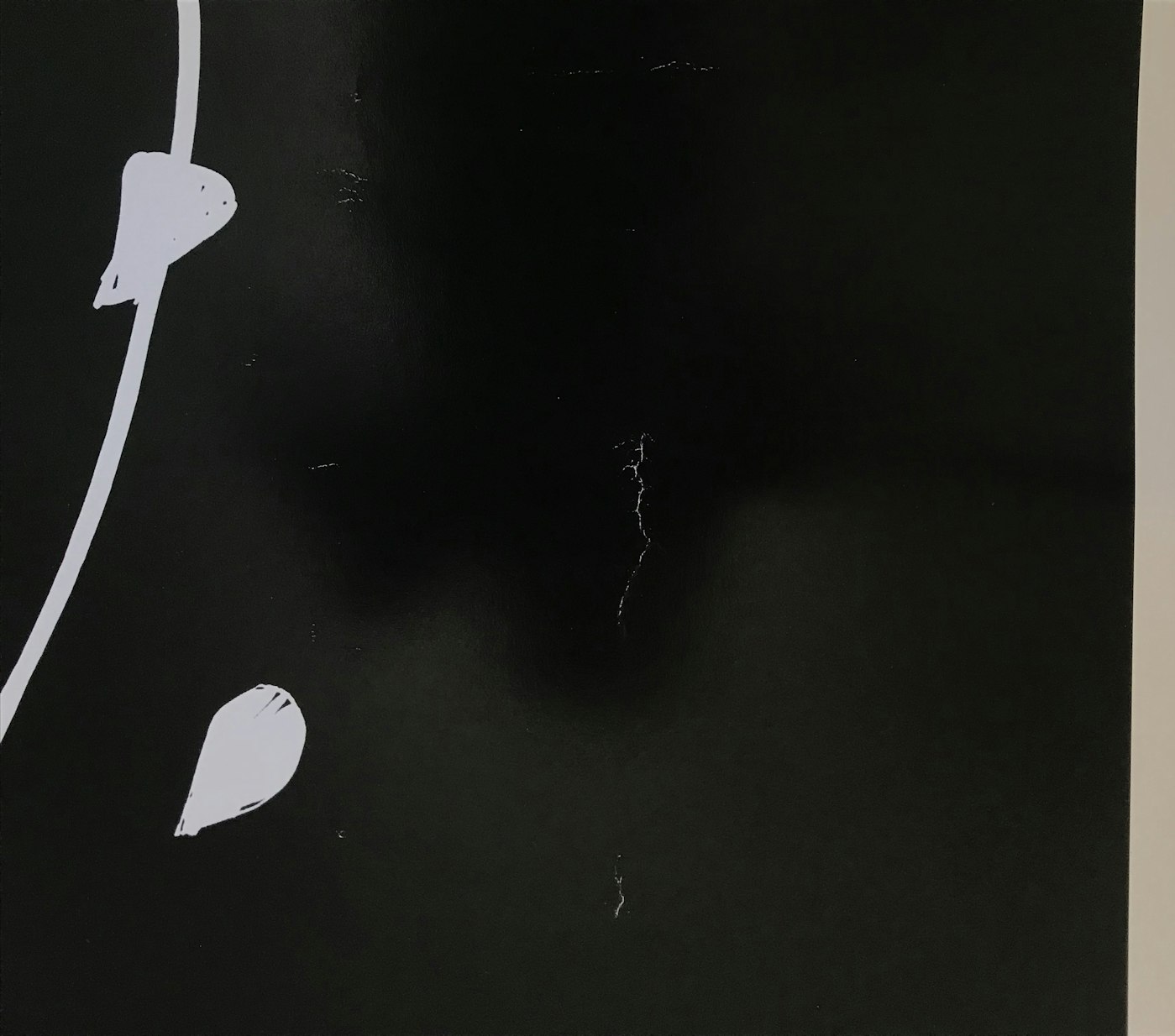 Alex Katz, Large Birch, 2005, null