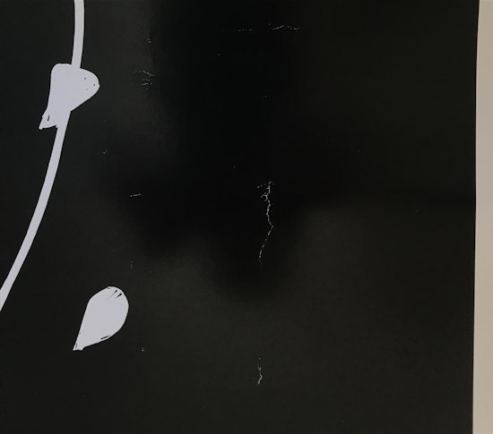 Alex Katz, Large Birch, 2005, null