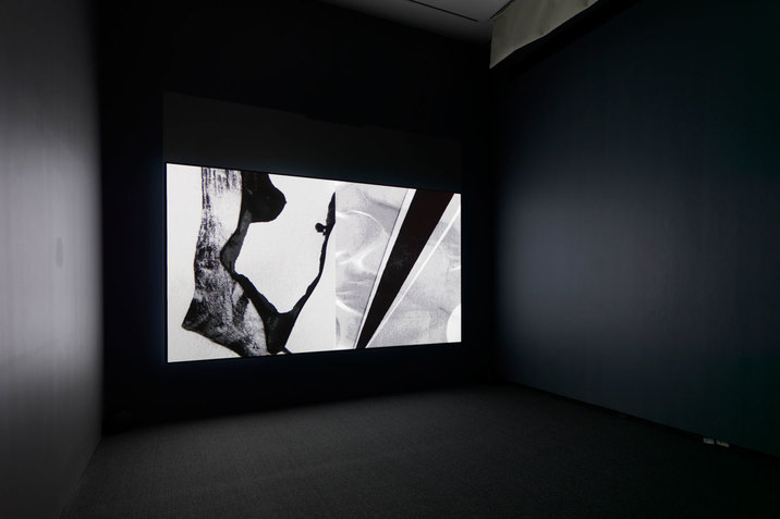 A black and white projection of a series of organic shapes is shown in a dark installation space.