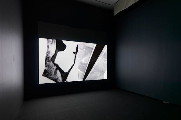 A black and white projection of a series of organic shapes is shown in a dark installation space.
