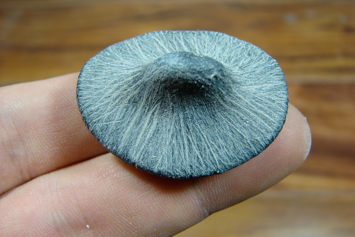 Close-up of two fingers balancing an object, black with thin white scratches and shaped like a disc with a center bulge.