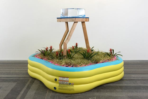 A small yellow plastic inflattable swimming pool hosts greenery with red flowers in its middle. From the grass peak the wooden crooked legs of a small table that balances on its top a transparent crystal structure.