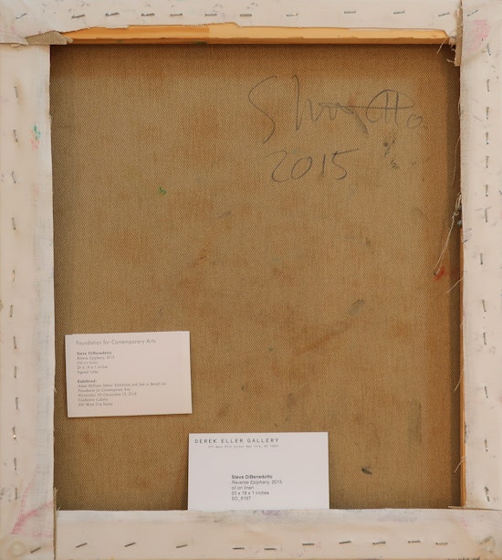 Steve DiBenedetto, Reverse Epiphany, 2015