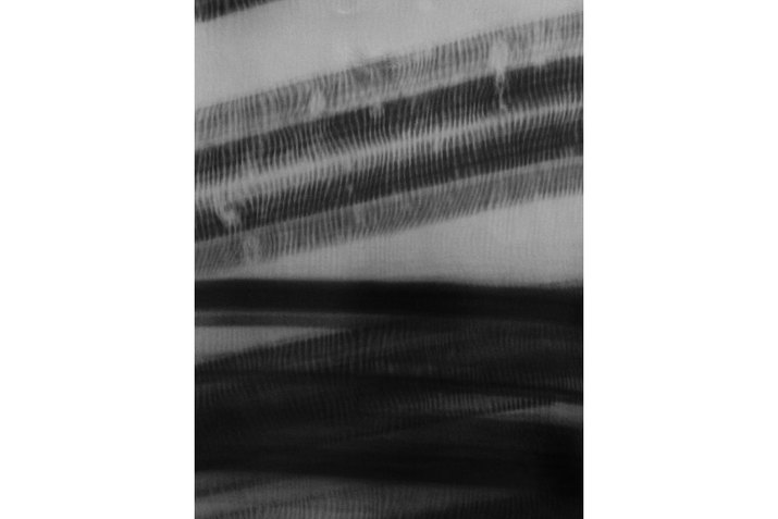 Close-up negative image of sonic waves resembling submerged tubular reeds with fine rippling hairs. 