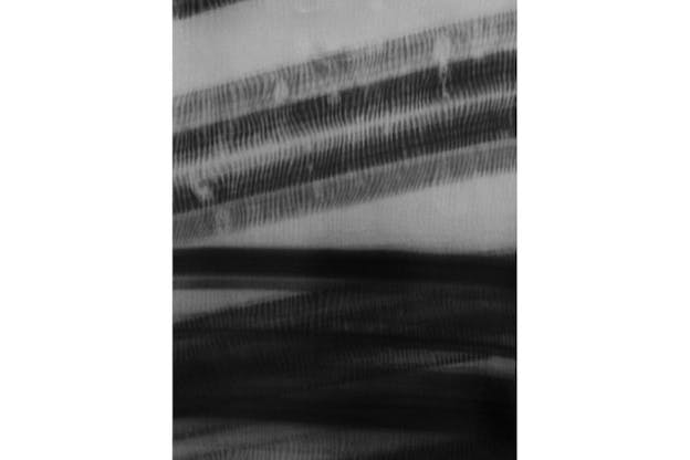 Close-up negative image of sonic waves resembling submerged tubular reeds with fine rippling hairs. 