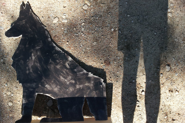 Shadow of a person's legs beside a black-markered cut-out of a dog on gravel. 
