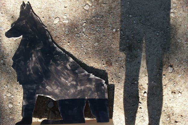 Shadow of a person's legs beside a black-markered cut-out of a dog on gravel. 