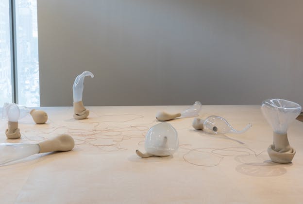 Transparent glasslike bubble materials attached to beige clay like vessels in various inflated states, connected by tangled thin wires on the floor.  