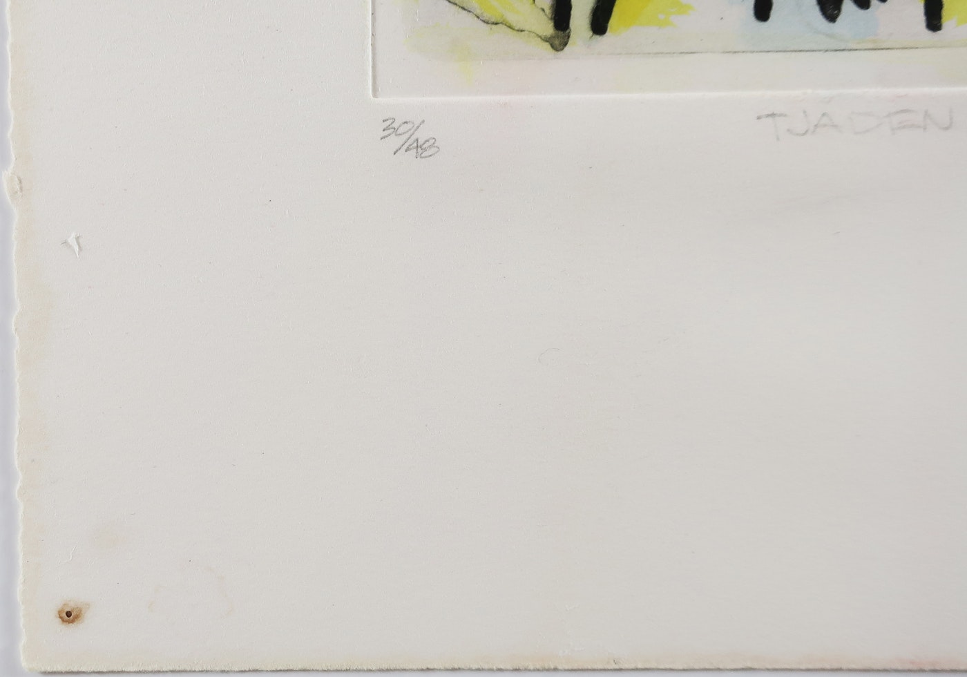 Gary Stephan, Tjaden, 1993
