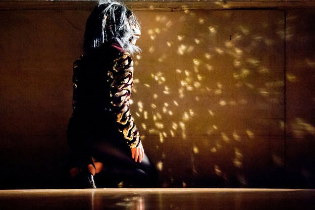  Performer wearing a gold-sequined shirt and gorilla mask is illuminated by a soft light while kneeling and facing a wooden wall flecked with gold reflections.