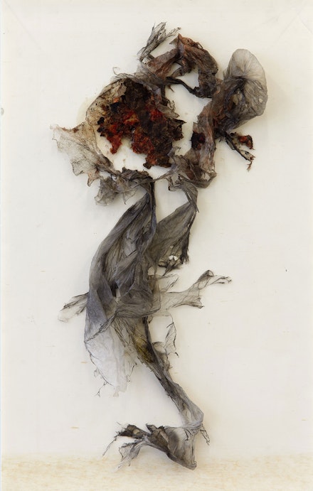 About Foundation for Contemporary Arts