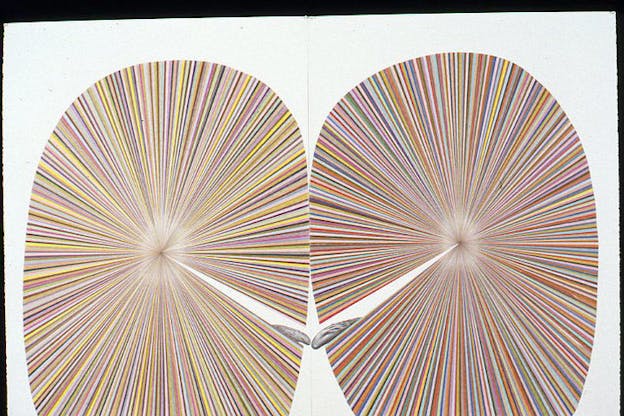 Two ovals made of differently colored lines emanating from one center are arranged side by side. In the wedge shaped openings of each circle, there is a gray tongue like shape.