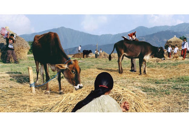 In the foreground, one person sits on the ground facing away from the camera. Behind them are piles of hay stack, cows, and people working and farming. There are mountain ranges in the background. 