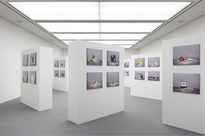 Installation view of multiple white rectangular columns, each one hosting four still-life images set against a gray backdrop. 