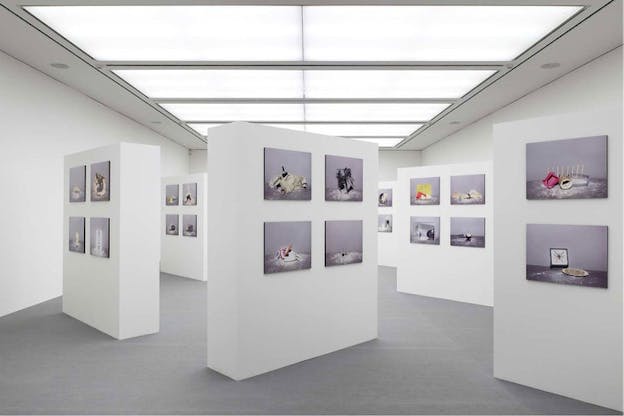 Installation view of multiple white rectangular columns, each one hosting four still-life images set against a gray backdrop. 