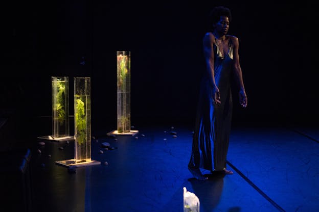 A  performer dressed in long silver gown their shoulders raised as their hands stick to their side. Surrounding them are small pebbles and three long glass vases with white flowers inside.