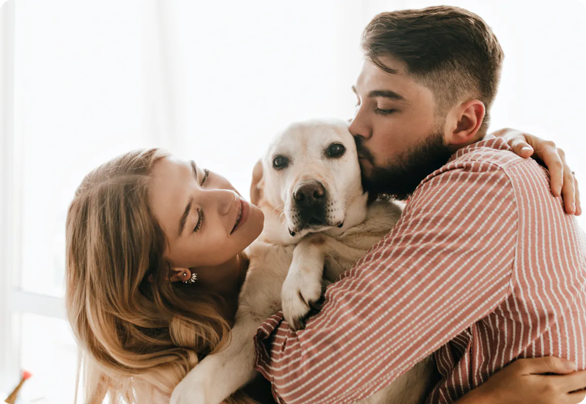 Pet Health Insurance in Germany Feather