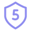 Shield five icon