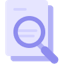 Document and magnifying glass icon