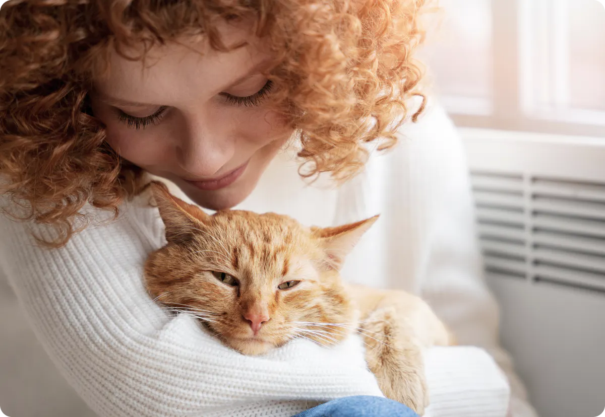 Cat Health Insurance in Germany Feather