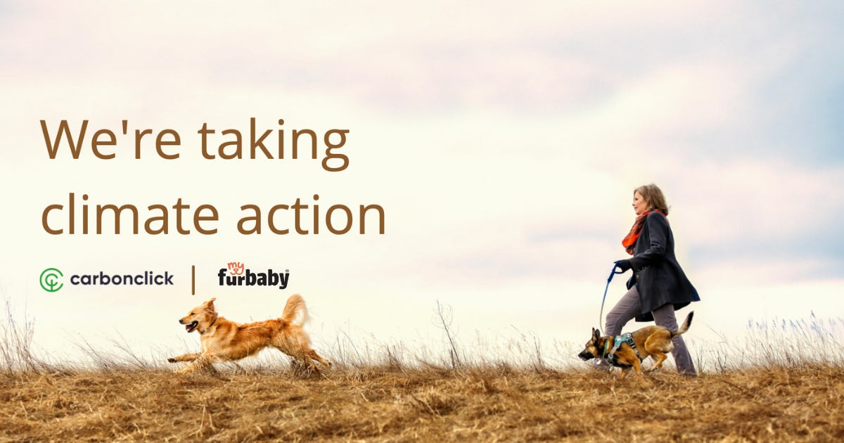 We're taking climate action with CarbonClick and repurposeGlobal.