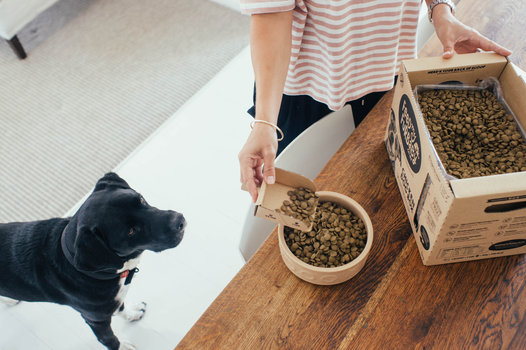 Dog food delivery NZ Made Grain Free Feed My Furbaby