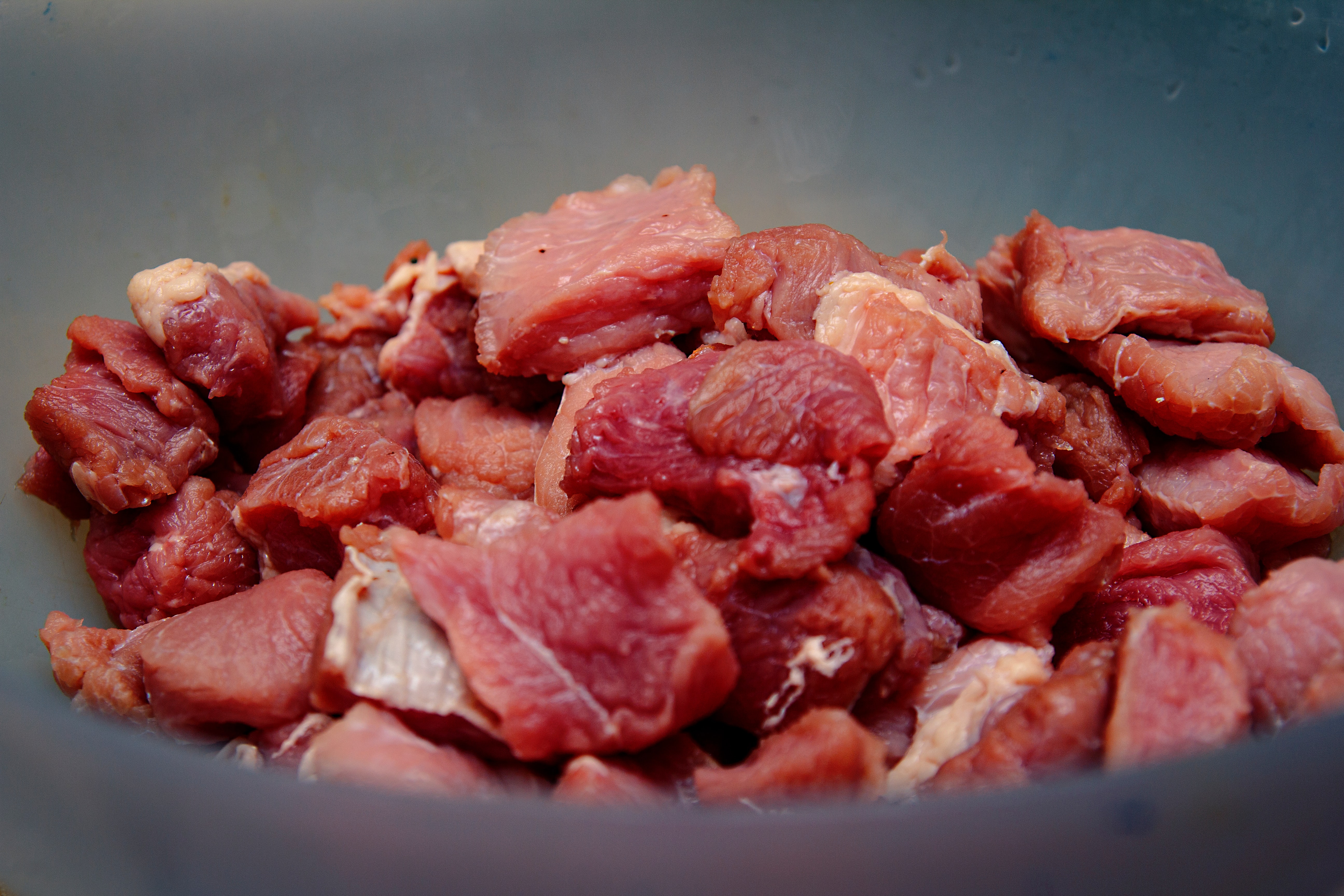 Is it better to feed store your dog raw or cooked meat