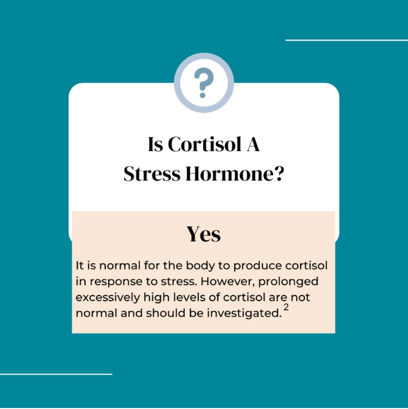 What Is Cortisol Hormone