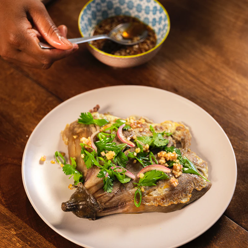 Omelette d'aubergine et haché Féroce
