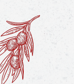 Illustration huile olive