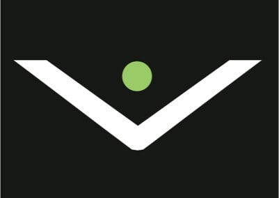 logo Videns Pictures