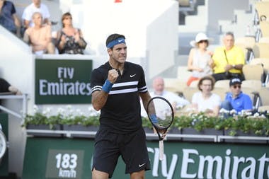 Juan Martin del Potro