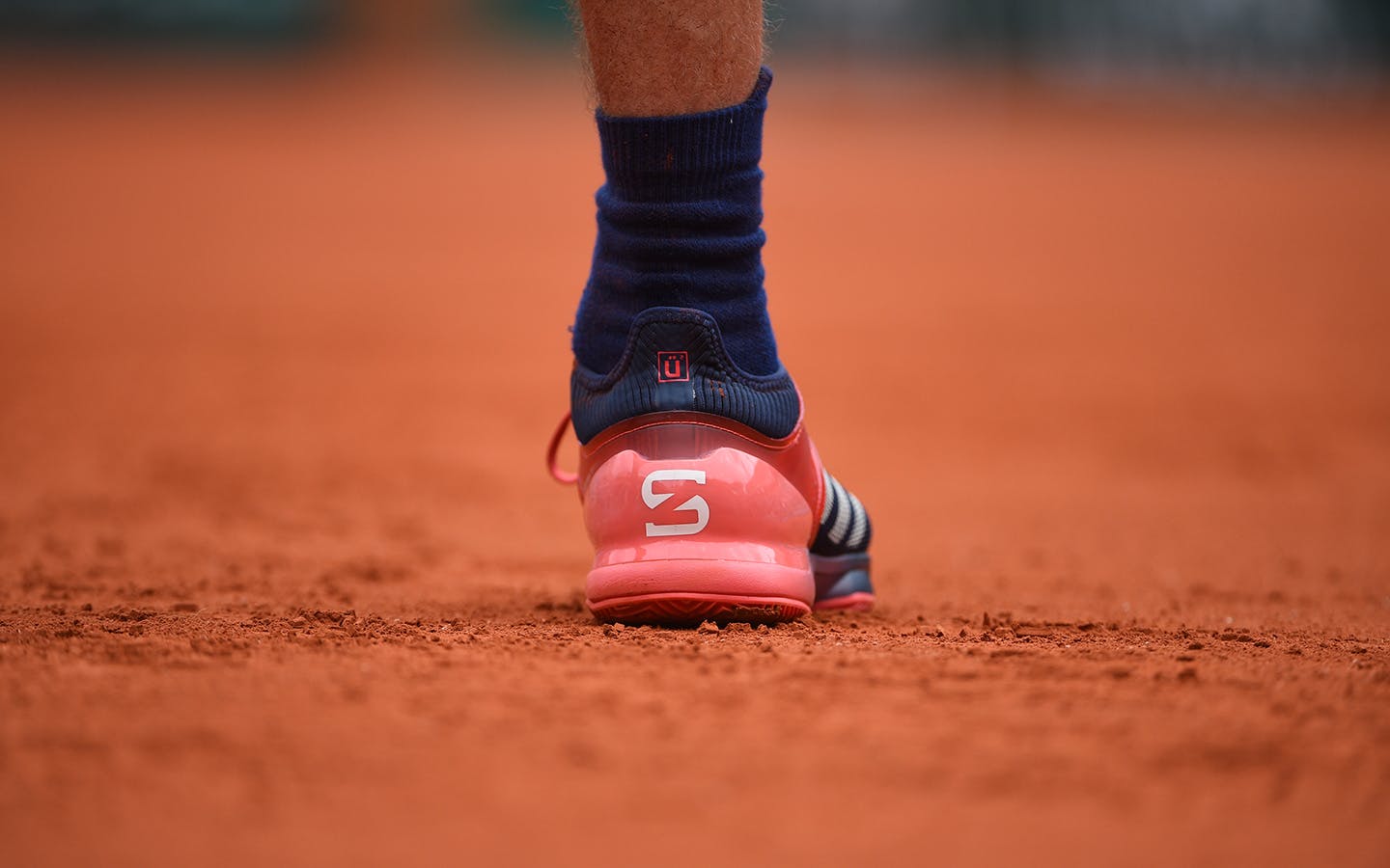 Alexander Zverev, Roland Garros 2018, Simple Messieurs, 3eme Tour