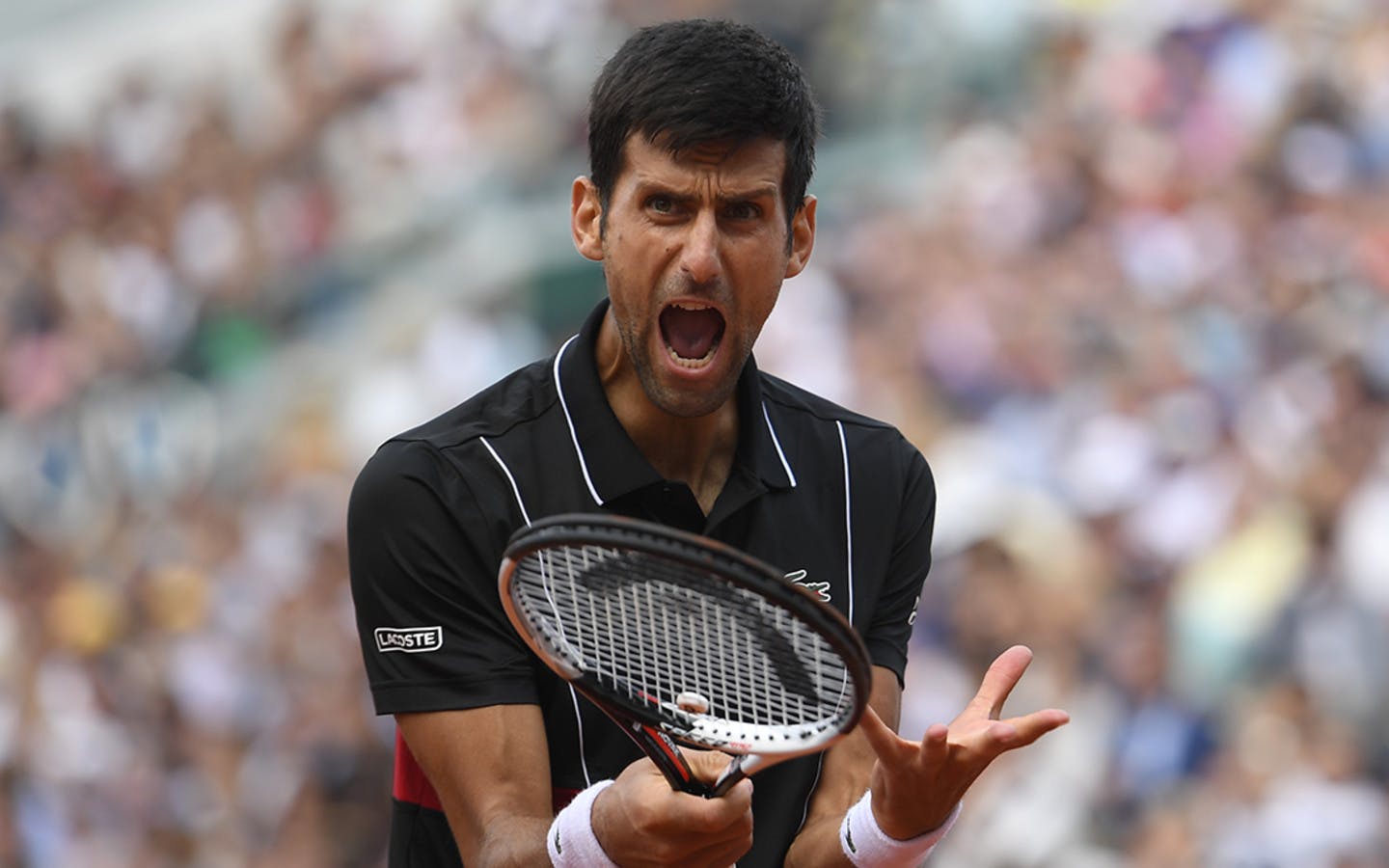 Roland-Garros 2018, 1/4 de finale, Novak Djokovic