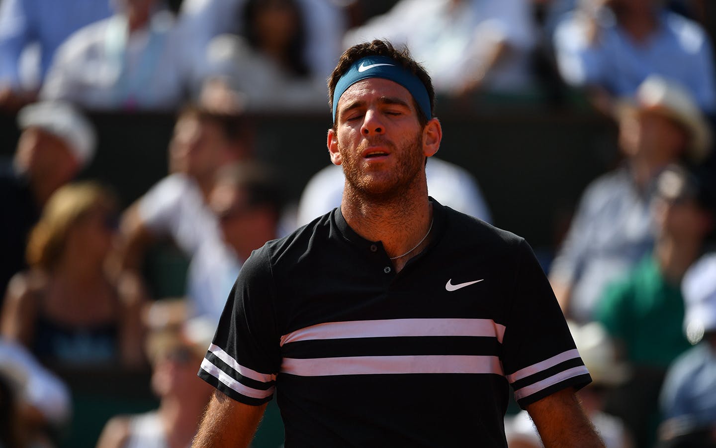 Juan Martin del Potro, Roland-Garros 2018
