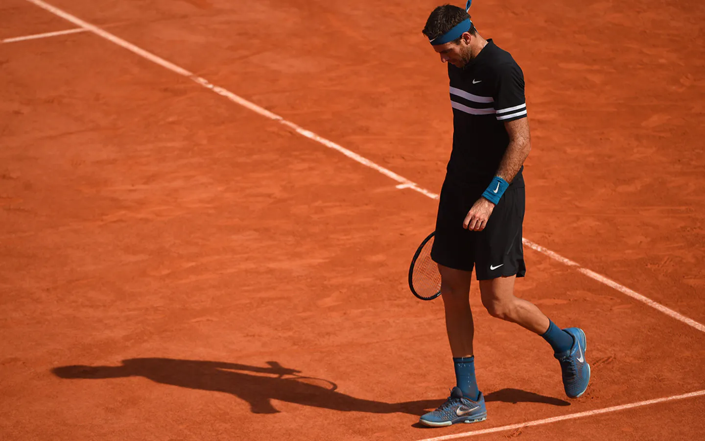 Juan Martin del Potro, Roland-Garros 2018